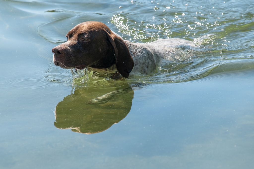 Validation BRAT + BREP - TEXAS de la Veyradeyre