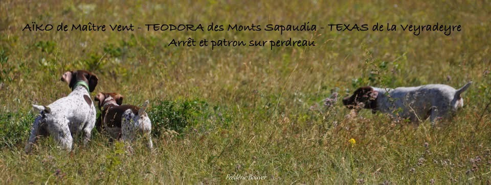CHASSE et ENTRAINEMENTS